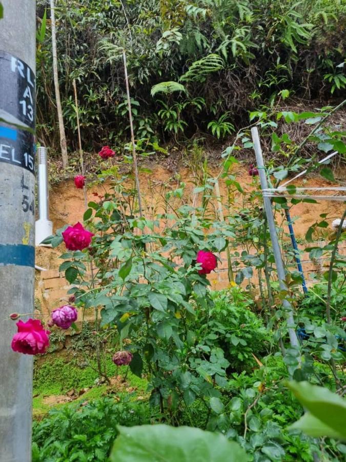 Highlanders Garden Guesthouse At Arundina Cameron Highlands Exterior photo