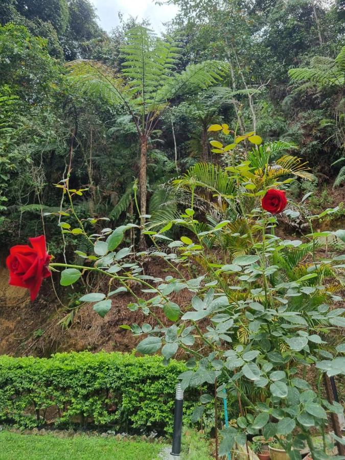 Highlanders Garden Guesthouse At Arundina Cameron Highlands Exterior photo