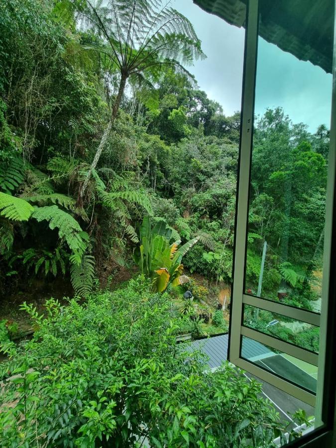 Highlanders Garden Guesthouse At Arundina Cameron Highlands Exterior photo