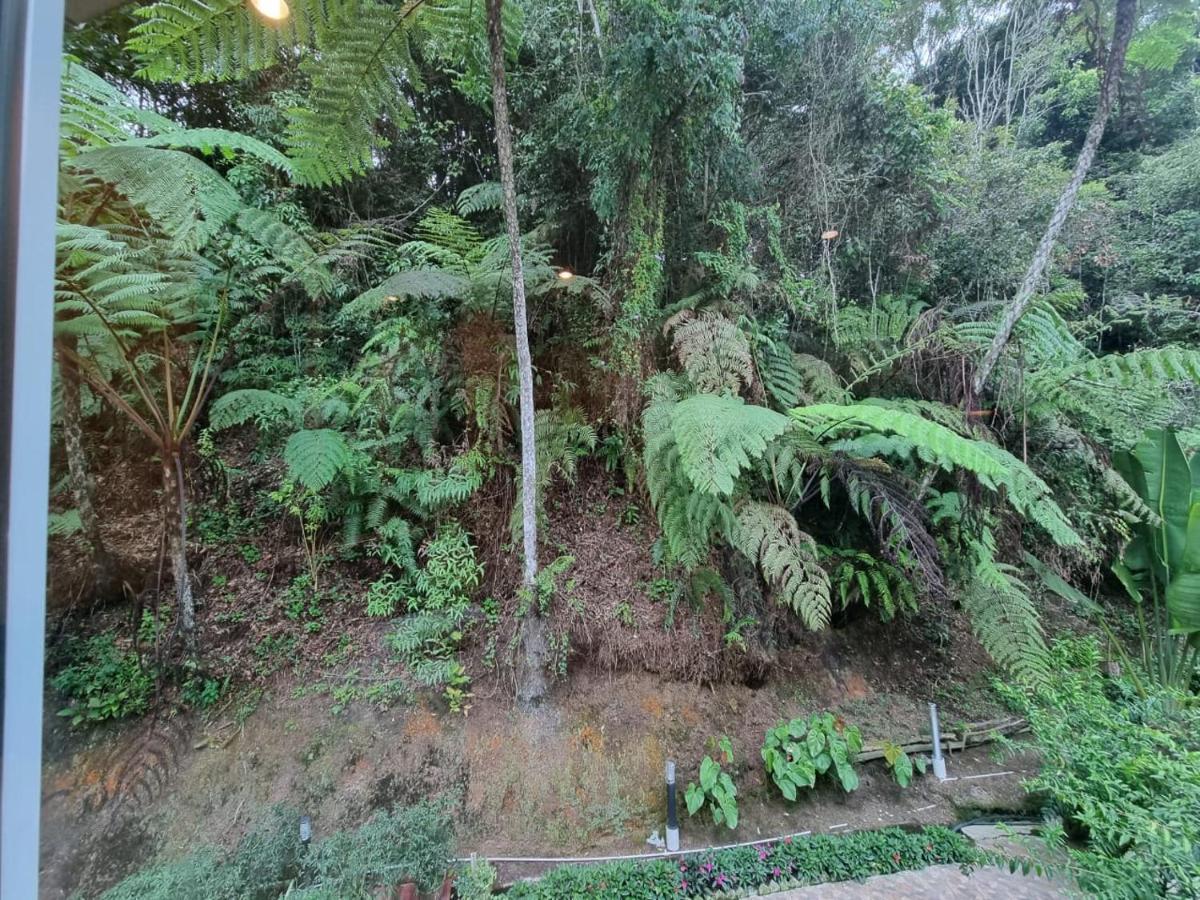 Highlanders Garden Guesthouse At Arundina Cameron Highlands Exterior photo